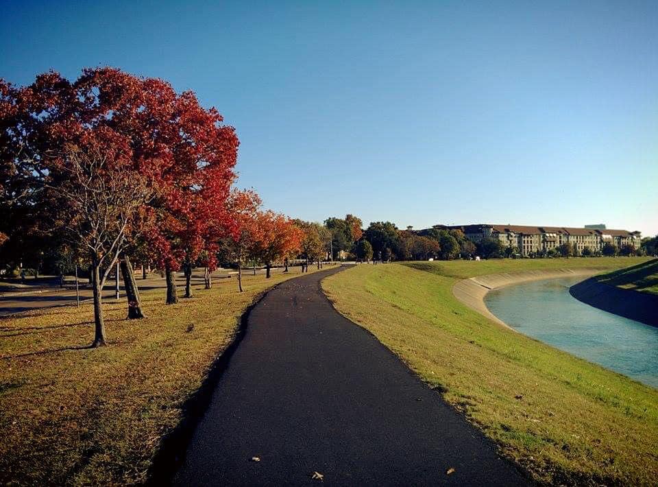 Nỗi Nhớ Houston