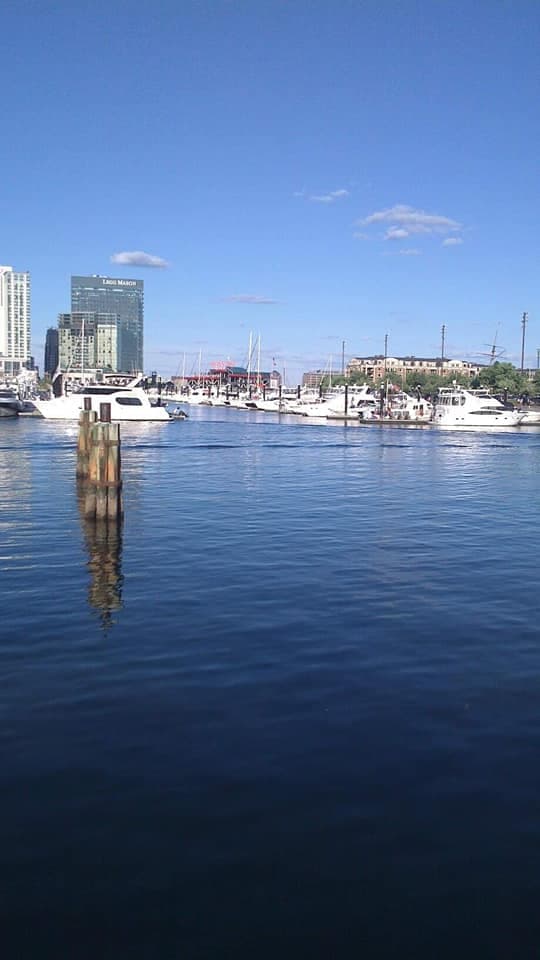 Tôi gặp Baltimore vào mùa hè